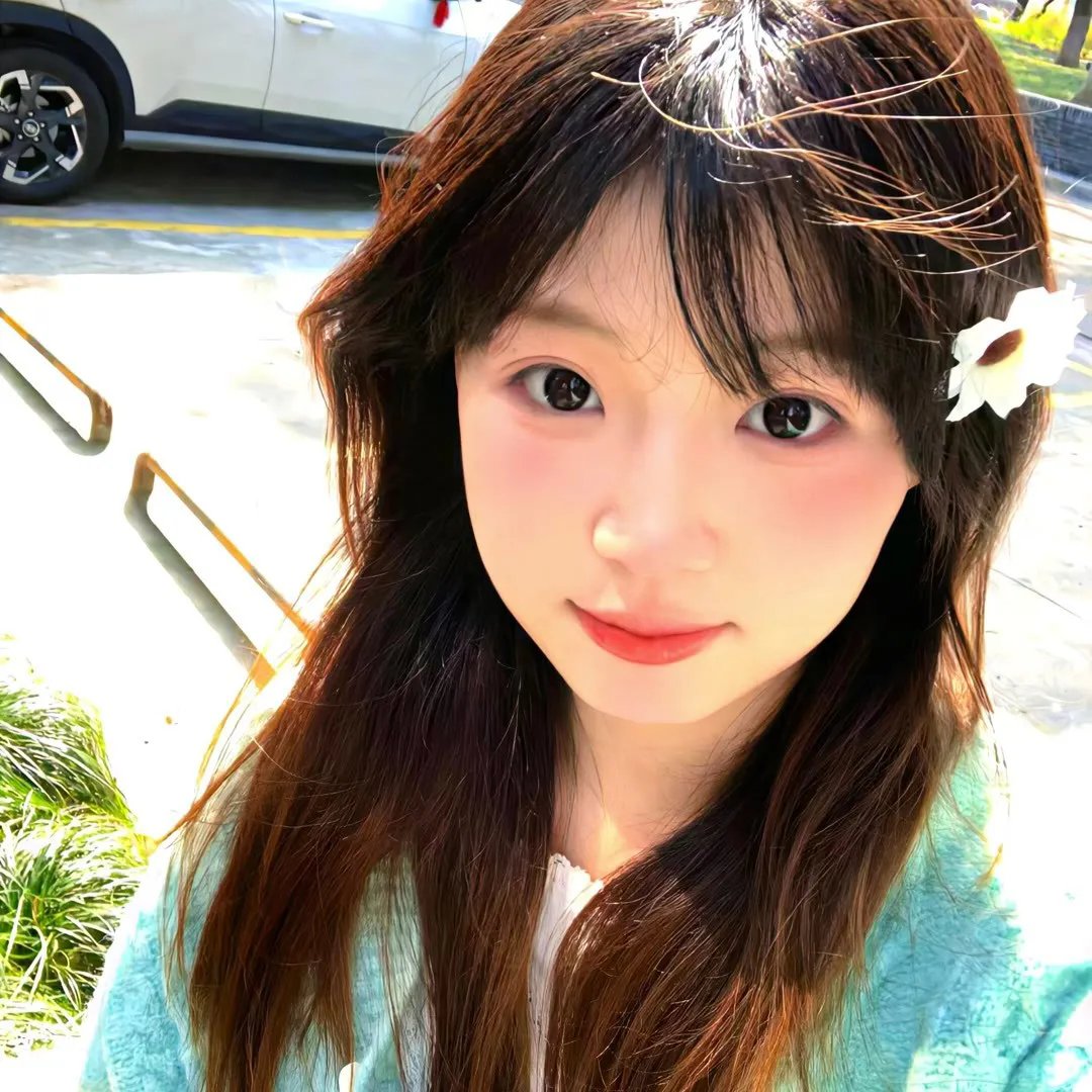 双珠凤海报